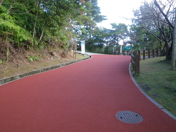 名護中央公園園路改修工事（H28-1）